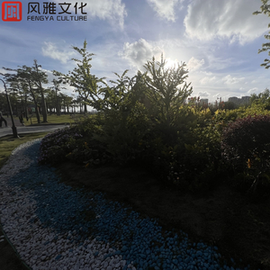 男性吹潮教程chainese视频
